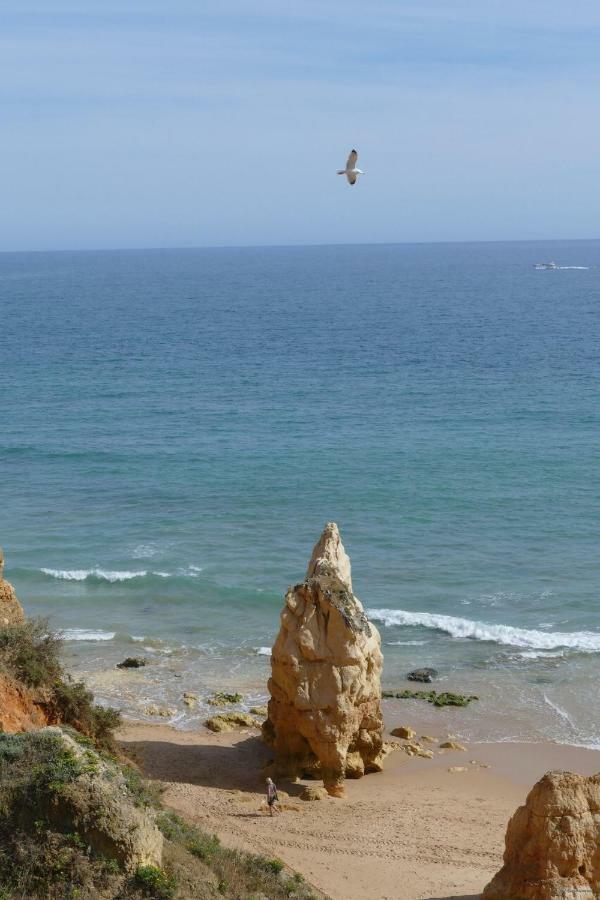 Praia Da Rocha, Algarve Sunny Apartment Portimao Exterior photo